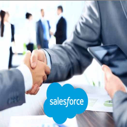 Salesforce Consulting Services in Hyderabad